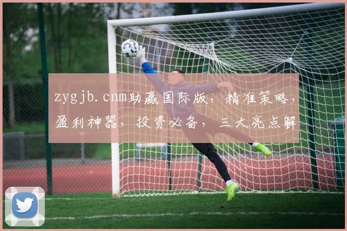 zygjb.cnm助赢国际版，精准策略，盈利神器，投资必备，三大亮点解析
