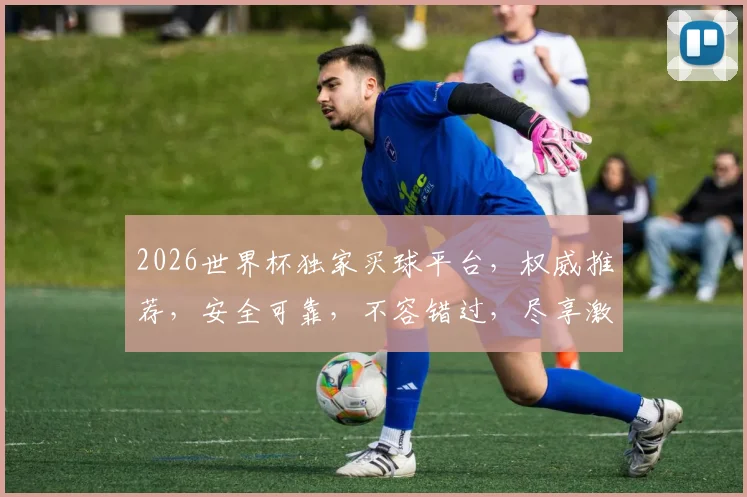 2026世界杯独家买球平台，权威推荐，安全可靠，不容错过，尽享激情赛事