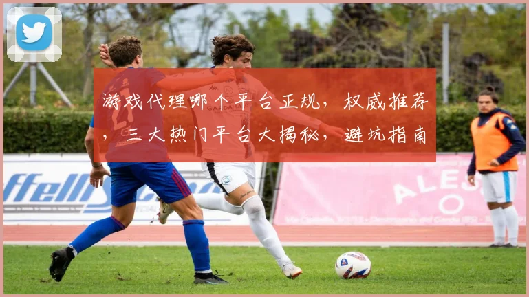 游戏代理哪个平台正规，权威推荐，三大热门平台大揭秘，避坑指南