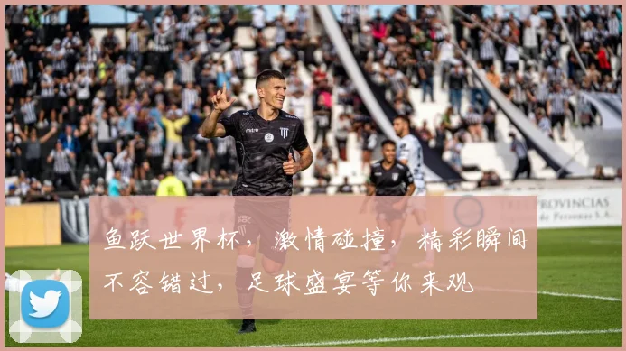 鱼跃世界杯，激情碰撞，精彩瞬间不容错过，足球盛宴等你来观