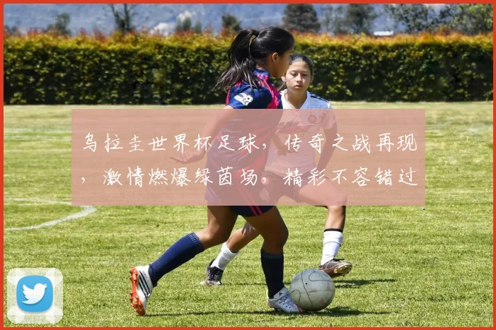 乌拉圭世界杯足球，传奇之战再现，激情燃爆绿茵场，精彩不容错过，一触即发