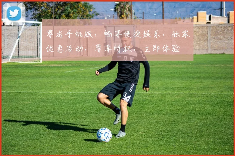 尊龙手机版，畅享便捷娱乐，独家优惠活动，尊享特权，立即体验